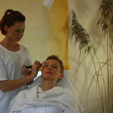 奈贝尔霍恩布里克林酒店 4* 奥伯斯特多夫